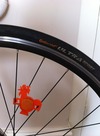 Specialized langster steel photo