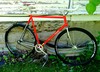 Specialized Langster (steel) photo