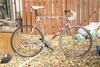 Specialized Langster Steel (Theresa) photo