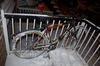 Specialized Langster Winter bike photo