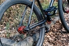 Specialized P.Fix photo