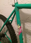 Specialized Rockhopper Gravel Conversion photo