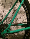 Specialized Rockhopper Gravel Conversion photo