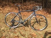 Specialized Roubaix Elite photo