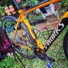 Specialized S-Works Tarmac SL4 photo