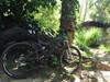 Specialized Stumpjumper photo