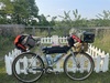 Specialized Stumpjumper Comp photo