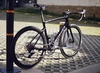 Specialized Tarmac SL6 Disc photo