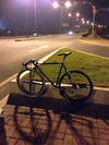 Spinger Pursuit style Fixed gear photo