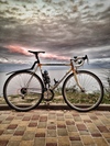 Sportivo road bike photo