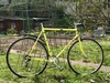 YELLOW COMMUTER (Goldia?) photo