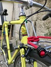 YELLOW COMMUTER (Goldia?) photo