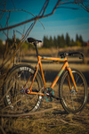 Squid Tarckwondo Lava photo