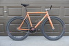 Squid Tarckwondo Lava photo