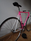 STANDERT Vice // Colossi Fixed Gear photo