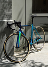 Stanridge Speed Custom Road photo