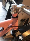 Starling Cycles Mega Twist photo