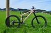 Starling Cycles Mega Twist photo