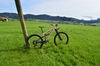 Starling Cycles Mega Twist photo