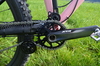 Starling Cycles Mega Twist photo