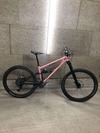 Starling Cycles Mega Twist photo Starling Cycles Mega Twist photo