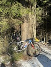 State photo