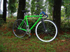 State bicycle Zombie Green photo