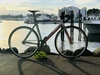 State Bicycles Undefeated (Le Mans) photo