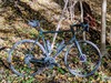 Steel Di2 Disc Road – "Money Pit" photo