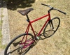 Steel “DuraAce” Custom painted track bik photo