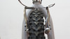 White Steel Hardtail 26" MTB (Sold) photo