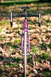 Steel SSCX photo