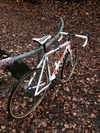 Stevens Superprestige Disc Cyclo "X" photo