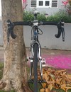 Storck Scenero G1 photo