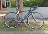 Storck Scenero G1 photo