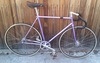 Stratos NJS Purple Pista Eater photo