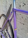 Stratos NJS Purple Pista Eater photo