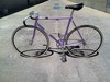 Stratos NJS Purple Pista Eater photo