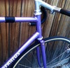 Stratos NJS Purple Pista Eater photo