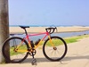 Suede Miami SS Gravel Grinder photo