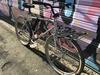 Sunn tox (cruiser commuter) photo