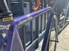 Super Purple Pista photo