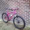 Surly 1x1 Pink SSMTB photo