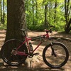 Surly 1x1 Pink SSMTB photo