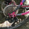 Surly 1x1 Pink SSMTB photo