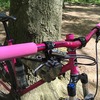 Surly 1x1 Pink SSMTB photo