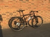 Surly 1x1(0) photo