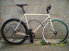 surly photo