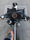 Surly Big Easy photo