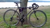 Surly Cross-Check 1x8 photo